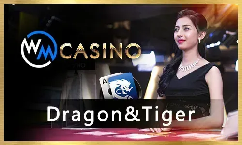 Live Casino Guide